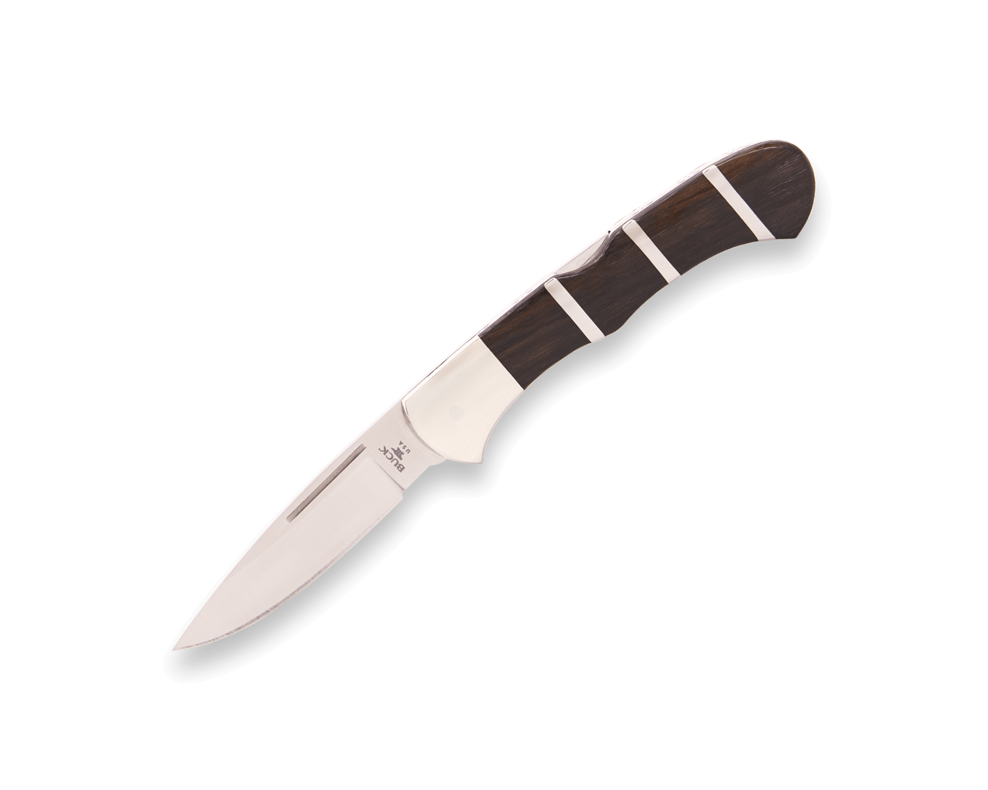 Buck June 2026 Buck of the Month 532 BuckLock product photo
